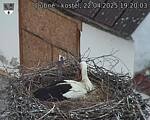 Capi_Dubne_20250422_192003.jpg