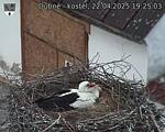 Capi_Dubne_20250422_192503.jpg
