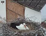 Capi_Dubne_20250422_193003.jpg