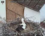 Capi_Dubne_20250422_194003.jpg