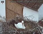 Capi_Dubne_20250422_195503.jpg