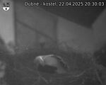 Capi_Dubne_20250422_203003.jpg