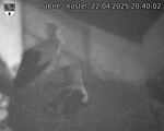 Capi_Dubne_20250422_204002.jpg