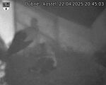 Capi_Dubne_20250422_204503.jpg
