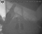 Capi_Dubne_20250422_210503.jpg