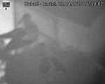 Capi_Dubne_20250422_211002.jpg