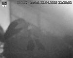 Capi_Dubne_20250422_212002.jpg