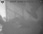 Capi_Dubne_20250422_212502.jpg
