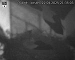 Capi_Dubne_20250422_213503.jpg