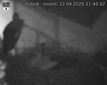 Capi_Dubne_20250422_214002.jpg