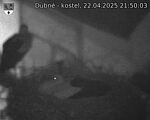 Capi_Dubne_20250422_215003.jpg