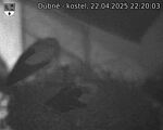 Capi_Dubne_20250422_222003.jpg