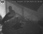 Capi_Dubne_20250422_223002.jpg