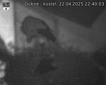 Capi_Dubne_20250422_224003.jpg