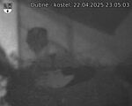 Capi_Dubne_20250422_230503.jpg