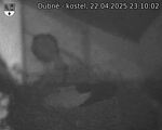 Capi_Dubne_20250422_231002.jpg