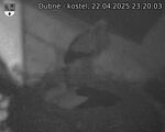 Capi_Dubne_20250422_232003.jpg