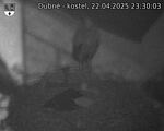 Capi_Dubne_20250422_233003.jpg