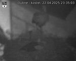Capi_Dubne_20250422_233503.jpg