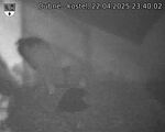 Capi_Dubne_20250422_234002.jpg