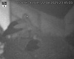Capi_Dubne_20250422_234503.jpg