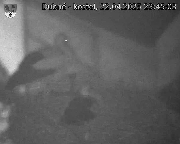 Capi_Dubne_20250422_234503.jpg (1350 x 1080)