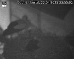 Capi_Dubne_20250422_235502.jpg
