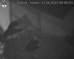 Capi_Dubne_20250423_000003.jpg
