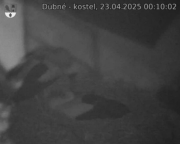 Capi_Dubne_20250423_001002.jpg (1350 x 1080)