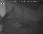 Capi_Dubne_20250423_001502.jpg