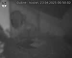 Capi_Dubne_20250423_005002.jpg