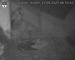 Capi_Dubne_20250423_005503.jpg