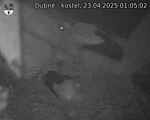 Capi_Dubne_20250423_010502.jpg
