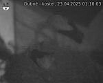 Capi_Dubne_20250423_011003.jpg