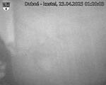 Capi_Dubne_20250423_012003.jpg