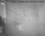 Capi_Dubne_20250423_012502.jpg
