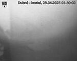 Capi_Dubne_20250423_013002.jpg