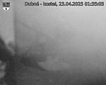 Capi_Dubne_20250423_013503.jpg