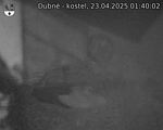 Capi_Dubne_20250423_014002.jpg