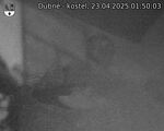 Capi_Dubne_20250423_015003.jpg