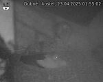 Capi_Dubne_20250423_015502.jpg
