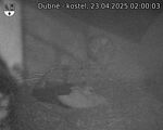 Capi_Dubne_20250423_020003.jpg