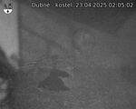 Capi_Dubne_20250423_020502.jpg