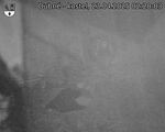 Capi_Dubne_20250423_022003.jpg