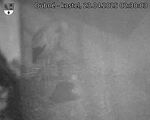 Capi_Dubne_20250423_023003.jpg