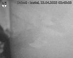 Capi_Dubne_20250423_024503.jpg
