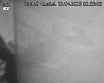 Capi_Dubne_20250423_025503.jpg
