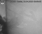 Capi_Dubne_20250423_030002.jpg