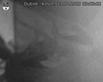 Capi_Dubne_20250423_030502.jpg