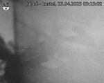 Capi_Dubne_20250423_031502.jpg